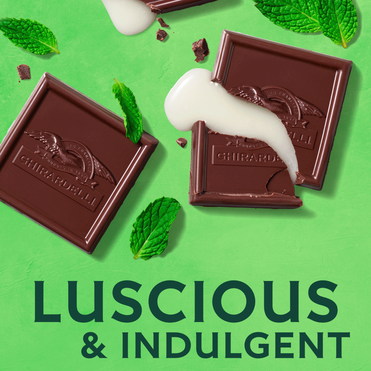 Dark Chocolate Mint SQUARES Medium Bag (Case of 6) - Image 6