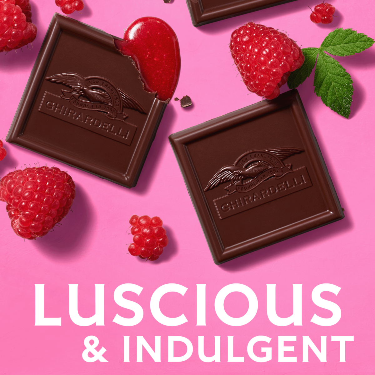 Dark Chocolate Raspberry SQUARES Medium Bag (Case of 6) - Image 4