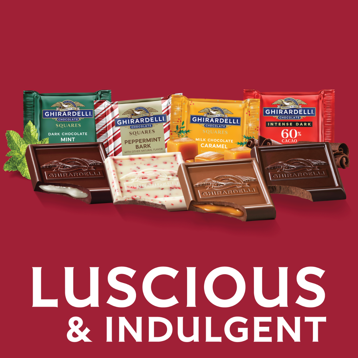Assorted Holiday Chocolate SQUARES Extra Large Bags (Case of 6) - Image 4