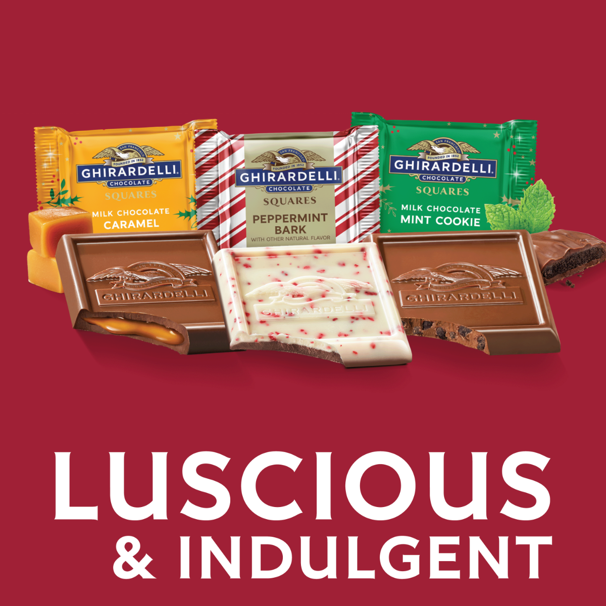 Assorted Holiday Chocolate SQUARES Large Bag (Case of 12) - Image 4