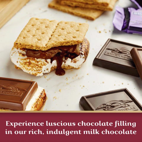 Double Chocolate Milk Chocolate Squares Bars with Chocolate Filling (case of 10) - Image 3